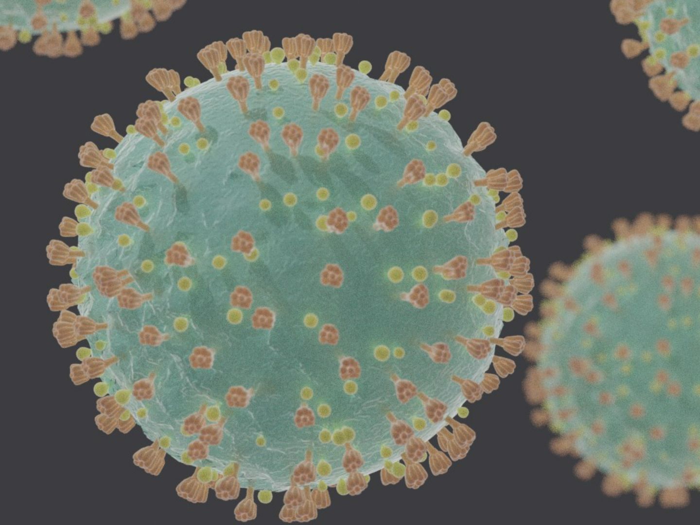 COVID-19 Virus