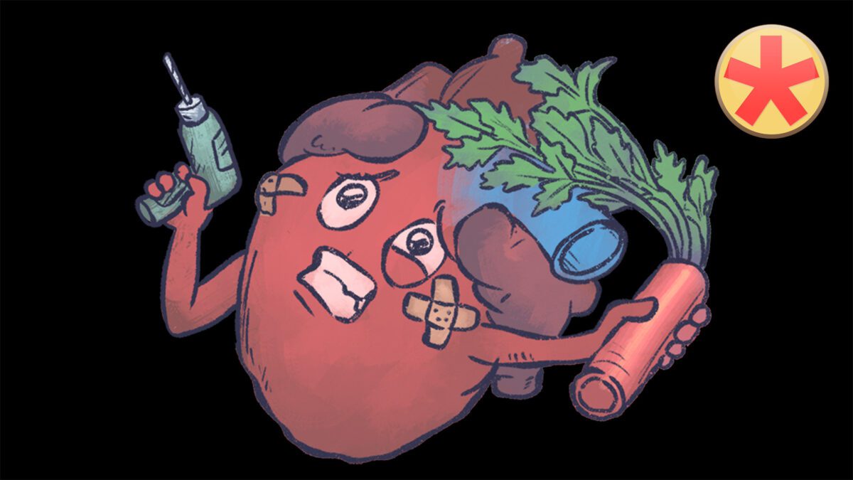 Angeborene Herzfehler (AHF) 2: Gemeinsamkeiten Medizin lernen mit den Eselsbrücken von Meditricks.de